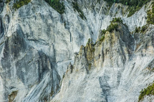 Dramatik ve engebeli Rocky Dağları uçurumlarda büyüyen çam ağaçları