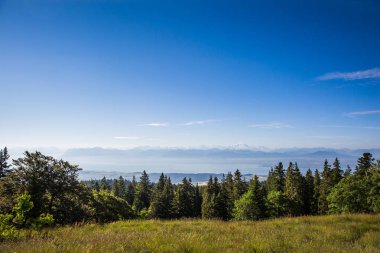 Güneşli bir yaz sabahı panoramik görünümü-Mont-Blanc dağ zinciri ve Leman Gölü