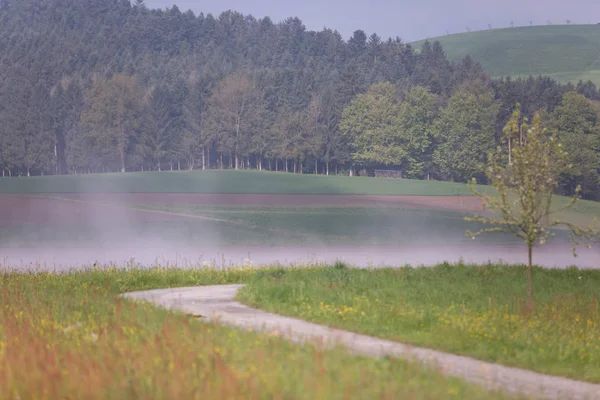 Εξοχή Πεδία Και Δέντρα Μια Misty Πρωί Άνοιξη — Φωτογραφία Αρχείου