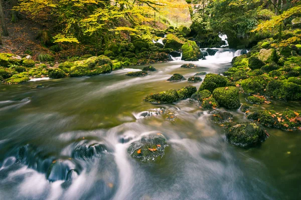 Park orman yaz yeşillik sonu ile yeşil yosunlu kayalar akan nehir