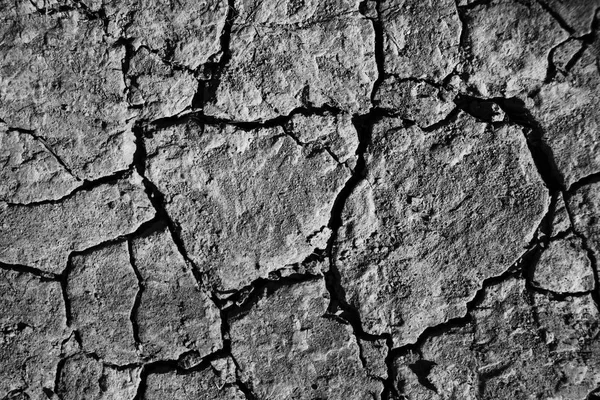 Sun Dried Ground Soil with Cracks on a Sunny Day