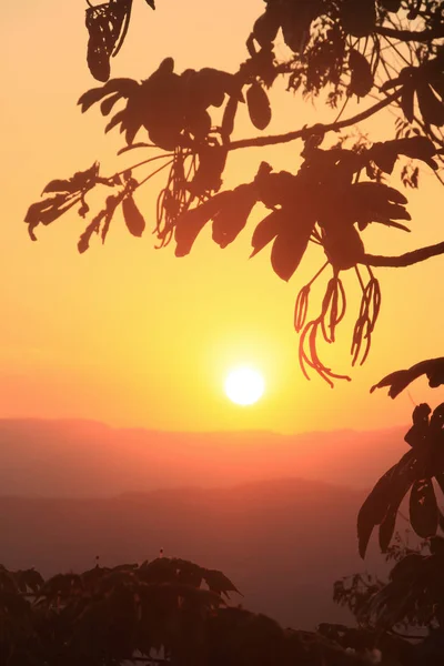 Golden Sunset Πάνω Από Σειρά Βουνών Και Τροπική Βλάστηση — Φωτογραφία Αρχείου