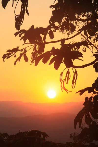 Golden Sunset Πάνω Από Σειρά Βουνών Και Τροπική Βλάστηση — Φωτογραφία Αρχείου