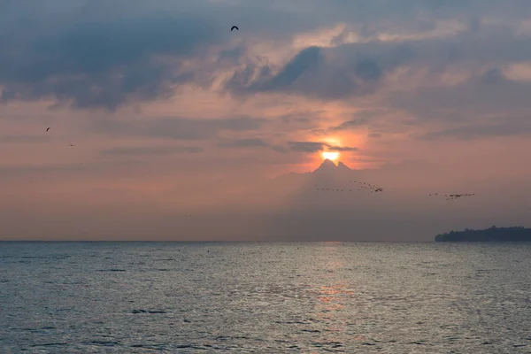 Les Oiseaux Volent Dessus Lac Léman Lever Soleil Derrière Les — Photo