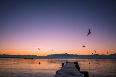 Leman Gölü ve donmuş iskele üzerinde şafakta uçan martılar