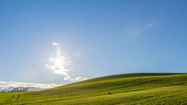 Toczenia Zielonych Pól Błękitne Niebo Jasny Słoneczny Dzień — Zdjęcie stockowe