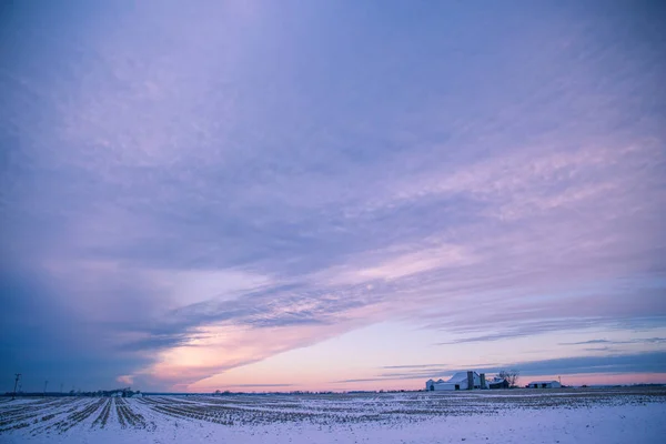 Winter Sunset over Snowy American Corn Fields in Winter with Cloudy Sky