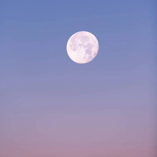 Full Moon Rising Pastel Pink Blue Winter Sky — Stock Photo, Image