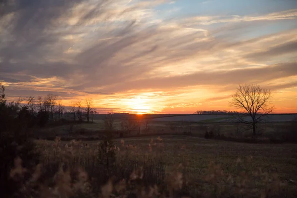 多云的冬季日落越过野草和田野 蓝天在模糊的前景 — 图库照片