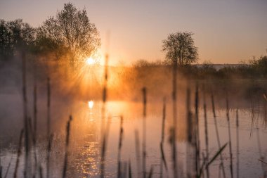 Sunrise sis ve ağaçlar ışık Piercing ve gölde yansıtan