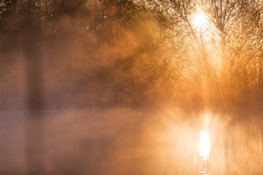 Sunrise sis ve ağaçlar ışık Piercing ve gölde yansıtan