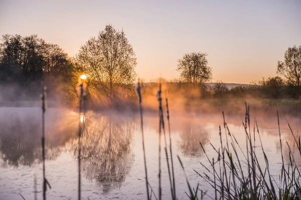 Nascer Sol Luz Perfurante Através Névoa Árvores Refletindo Lago — Fotografia de Stock