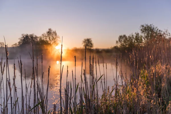 Nascer Sol Luz Perfurante Através Névoa Árvores Refletindo Lago Atrás — Fotografia de Stock