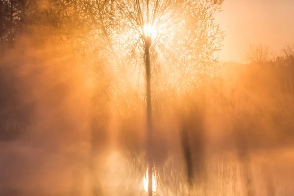 Luz Nascer Sol Perfurante Através Névoa Árvores Refletindo Lago Forma — Fotografia de Stock