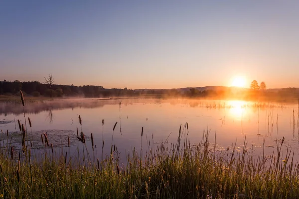 Nebliger Goldener Sonnenaufgang Der Sich Frühling Über Dem See Spiegelt — Stockfoto