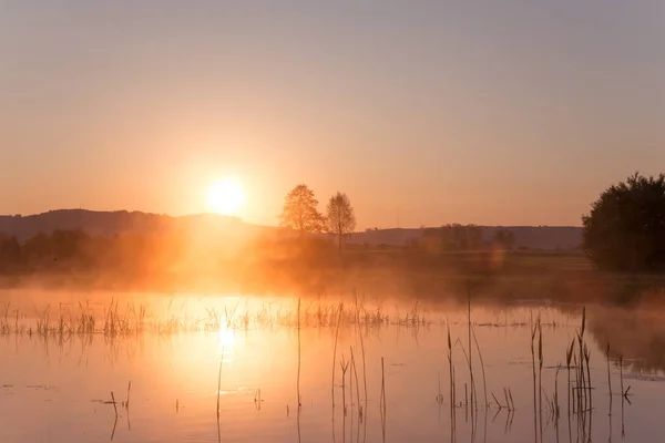 Nebliger Goldener Sonnenaufgang Der Sich Frühling Über Dem See Spiegelt — Stockfoto