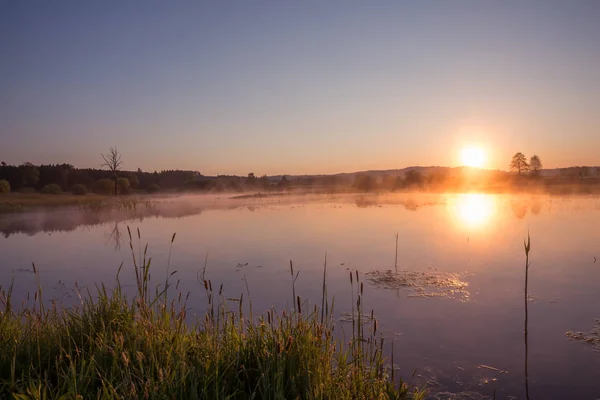 Nebliger Goldener Sonnenaufgang Der Sich Frühling Über Dem See Spiegelt — Stockfoto