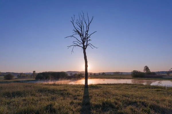 Ομιχλώδης Ανατολή Ηλίου Πάνω Από Λίμνη Φύλλα Δέντρων Και Φύση — Φωτογραφία Αρχείου