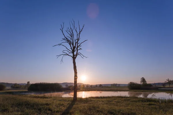 Ομιχλώδης Ανατολή Ηλίου Πάνω Από Λίμνη Φύλλα Δέντρων Και Φύση — Φωτογραφία Αρχείου