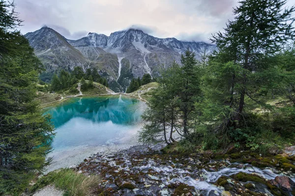 Ruisseau Montagne Jetant Dans Lac Bleu Avec Forêt Pins Verts — Photo