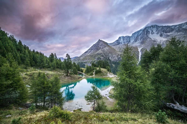 Lac Blue Mountain Avec Forêt Pins Verts Par Une Journée — Photo