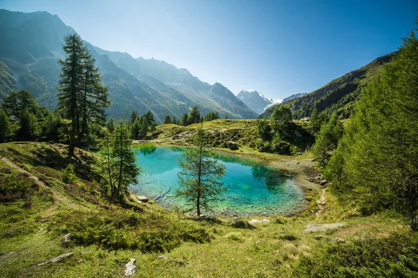Lac Blue Mountain Avec Forêt Pins Verts Par Matin Ensoleillé — Photo