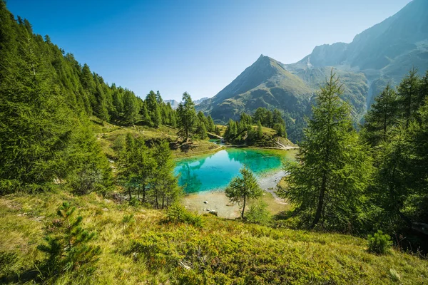 Lac Blue Mountain Avec Forêt Pins Verts Par Matin Ensoleillé — Photo