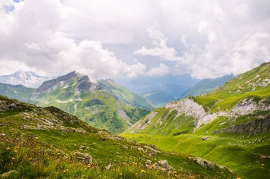 Vahşi dağ çiçekleri ve barınak ve göl içinde belgili tanımlık geçmiş, yatay