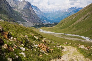 Mont-Blanc izinde bir sıçan, kayalık dağ yatay
