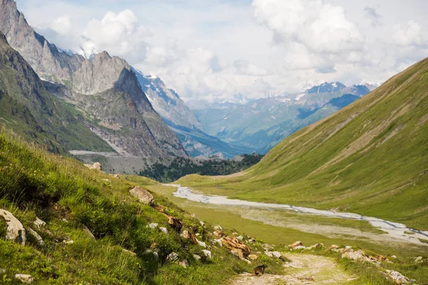 Peisaj Montan Stâncos Marmot Traseul Mont Blanc — Fotografie, imagine de stoc