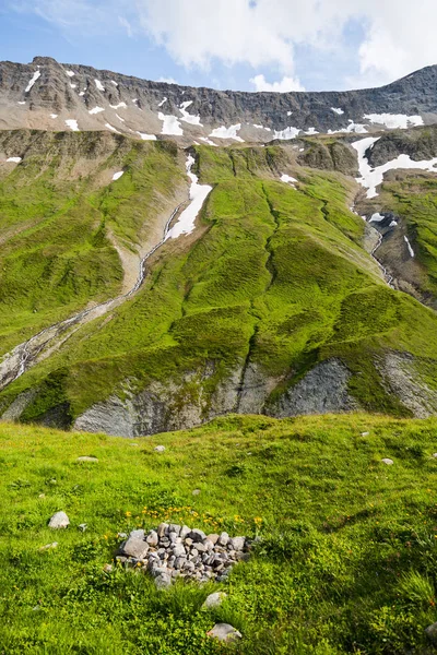 Mont Blanc Trail Mountain Stream Peisaj Verde Flori Primăvară — Fotografie, imagine de stoc