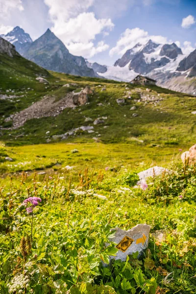 Ghețarul Mont Blanc Peisajul Muntos Verde Oratory Fluviul Care Curge — Fotografie, imagine de stoc