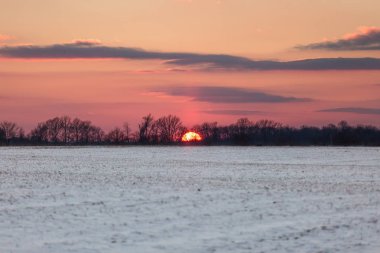 Mavi gökyüzü - Indiana ABD ile kışın karlı Amerikan mısırı alanları üzerinde Crimson Sunset