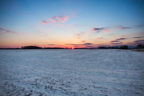 Rudý Západ Slunce Nad Zasněženou Americký Kukuřičné Pole Zimě Modrou — Stock fotografie