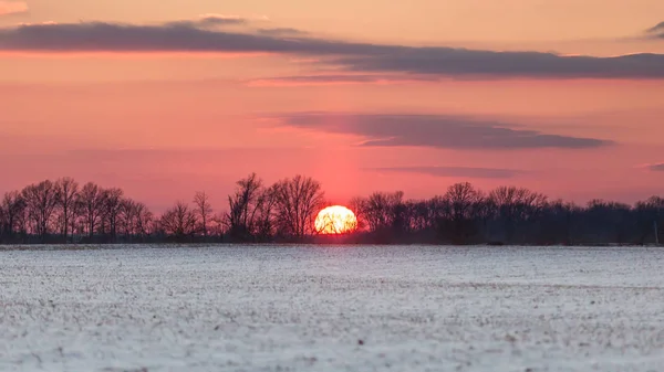 Crimson Sunset Sobre Los Campos Maíz Estadounidenses Nevados Invierno Con —  Fotos de Stock