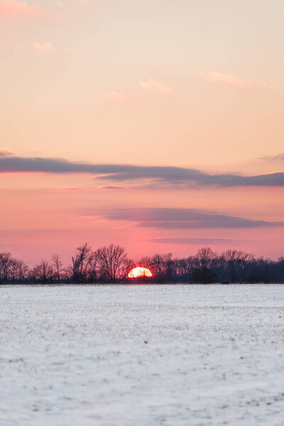 Crimson Sunset over Snowy American Corn Fields in Winter with Blue Sky - Indiana USA — Stock Image Crimson Sunset Snowy American Corn Fields Winter Blue Sky Indiana — Stock Photo, Image
