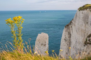 Güneşli bir günde kayalıklarla turkuaz Atlantik Okyanusu ile beyaz
