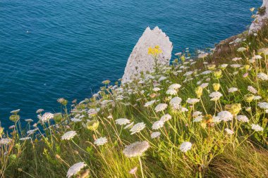 Güneşli bir günde kayalıklarla turkuaz Atlantik Okyanusu ile beyaz