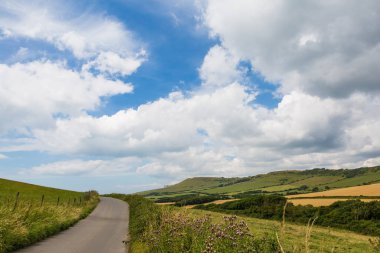 Güneşli bir günde İngilizce Jurassic Coast Meadows