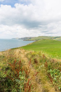Kimmeridge Bay koyu ve güneşli bir günde İngilizce Jurassic Coast