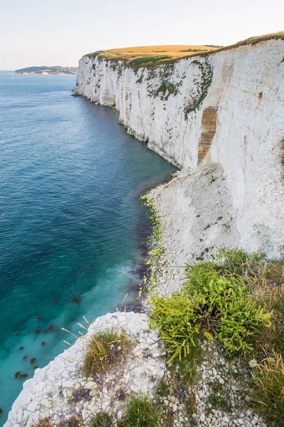 White Cliffs Turquoise Atlantic Ocean Sunny Day — Stock Photo, Image