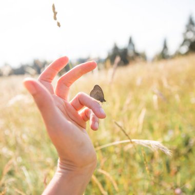 Brown Butterfly on Woman Hand on a Sunny Summer Day with Fields in the Background clipart