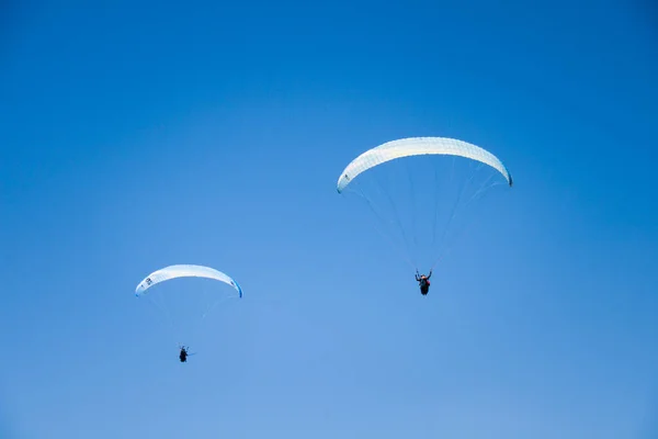 Paraglider instruktoři létání se zákazníky na modré letní obloze — Stock fotografie