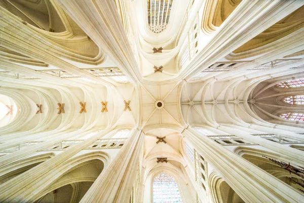 Kathedraal van Nantes Saint-Pierre en het hoge plafond van Saint-Paul, zuilen en ramen van glas in lood — Stockfoto