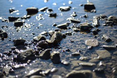 Birçok gri taş ve kabukları sığ suya batırılmış. Almanya'da Ren Nehri.