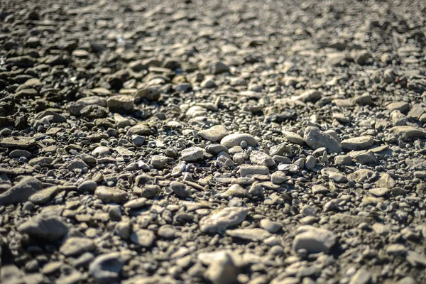 Background Many Gray Stones Shells Dry Riverbed River Rhine Germany — Stock Photo, Image