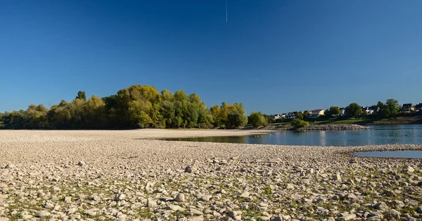 Uttorkad Flodbädd Fin Höstdag Med Synliga Träd Floden Rhen Tyskland — Stockfoto