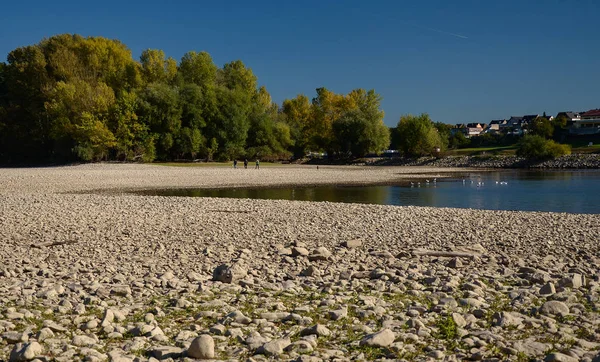 Dry riverbed on a nice autumn day with visible trees.River Rhine in Germany.
