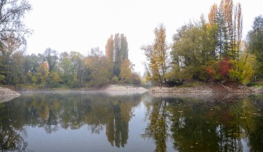 Sonbahar, puslu sabah parkta etrafında ağaçlar büyümek bir su birikintisi. Taşlı shore.