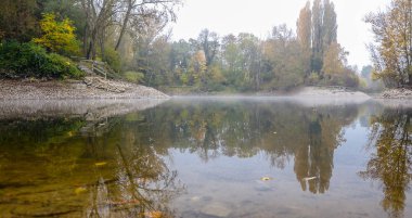 Sonbahar, puslu sabah parkta etrafında ağaçlar büyümek bir su birikintisi. Taşlı shore.